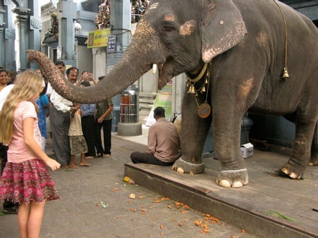 Blessed in Pondicherry, Tamil Nadu