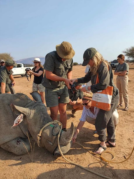 Notchingrhinoantipoaching